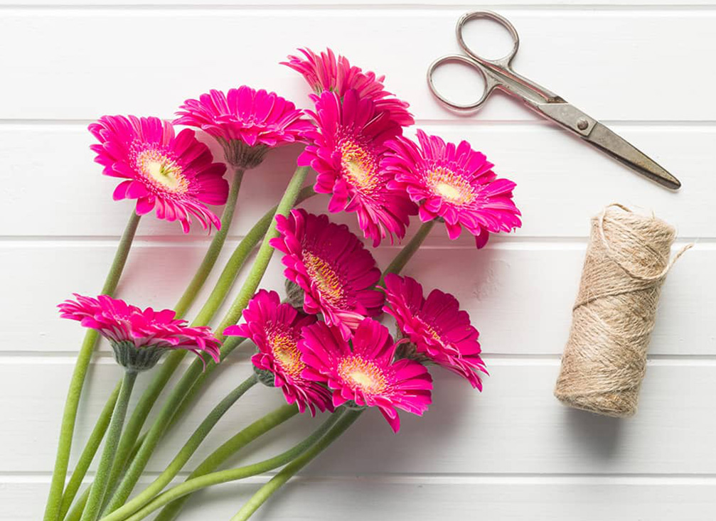 How to preserve cut flowers?