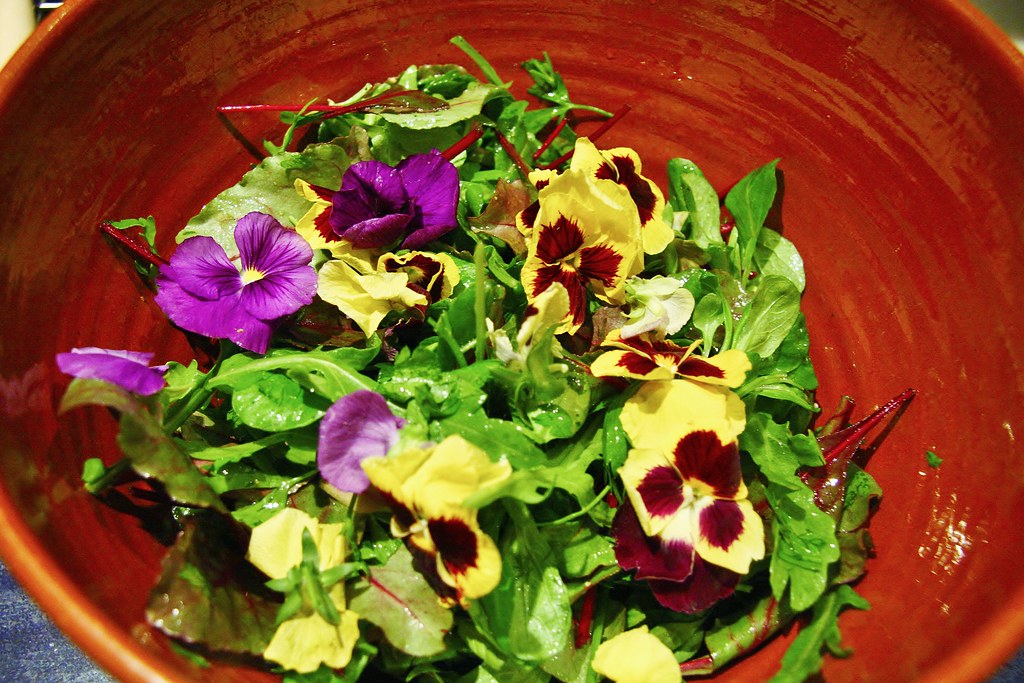 15 Flowers which flowers are edible